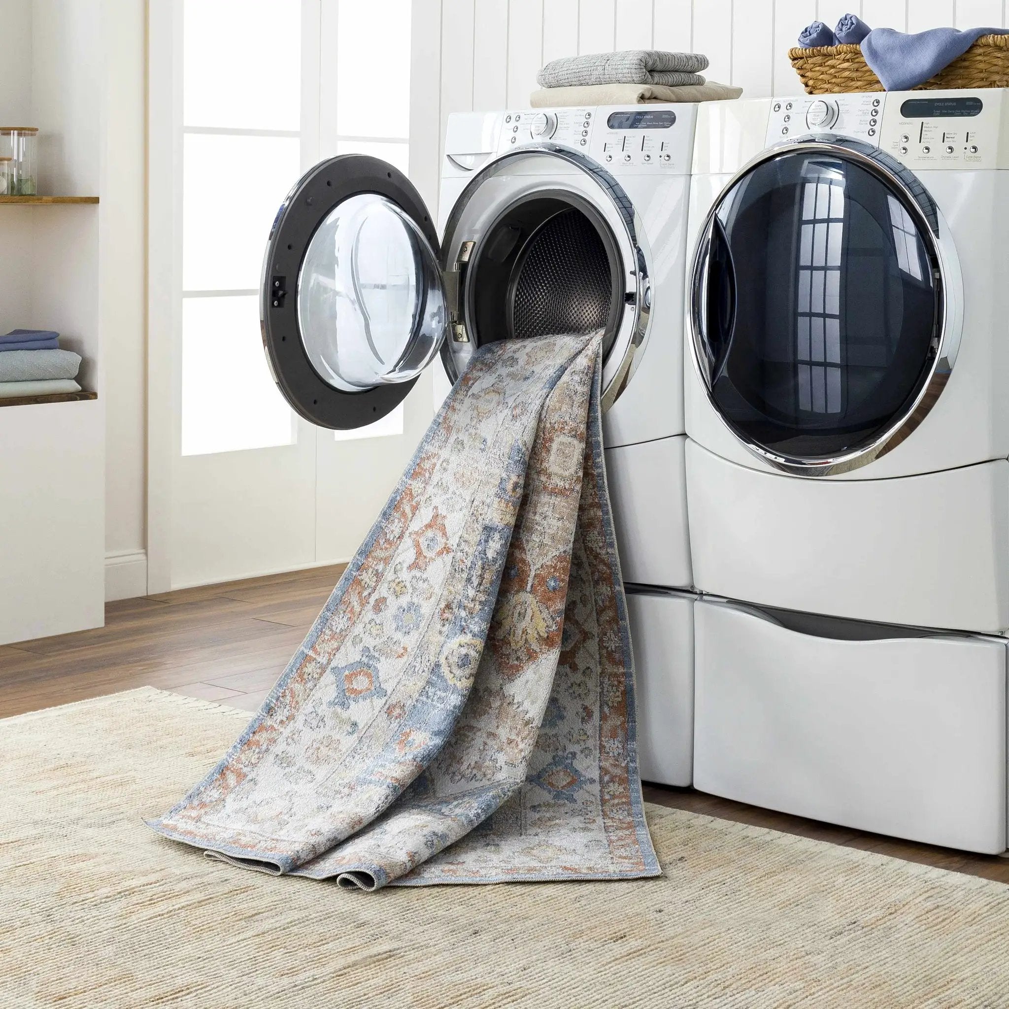 Ebbe Washable Area Rug - Clearance by Boutique Rugs