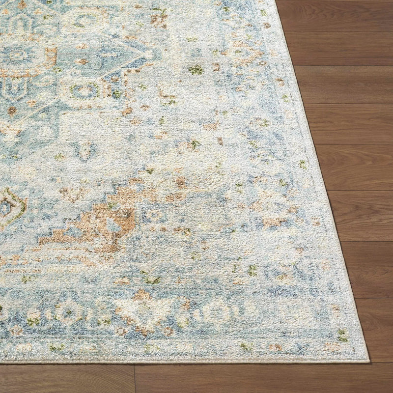 Ezri Washable Area Rug - Clearance by Boutique Rugs