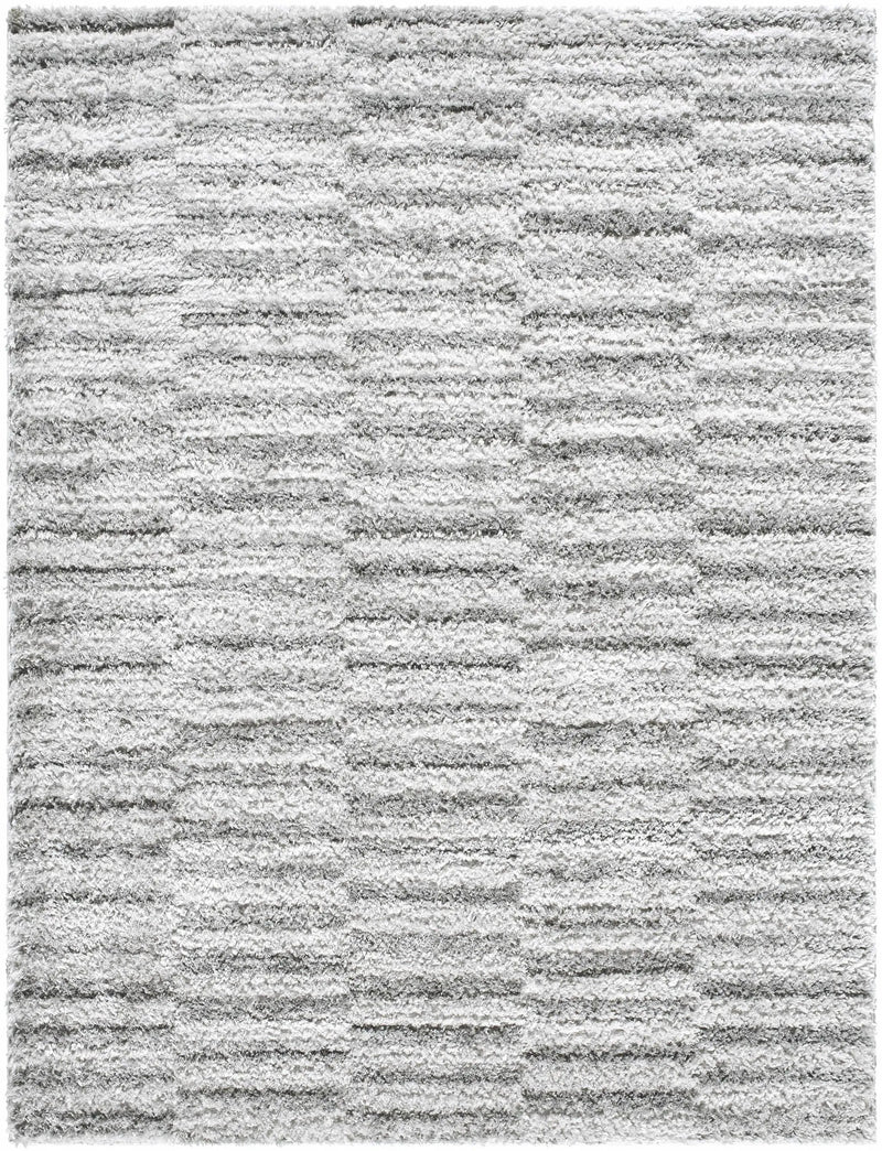 Anevay Dark Gray Area Rug by Boutique Rugs