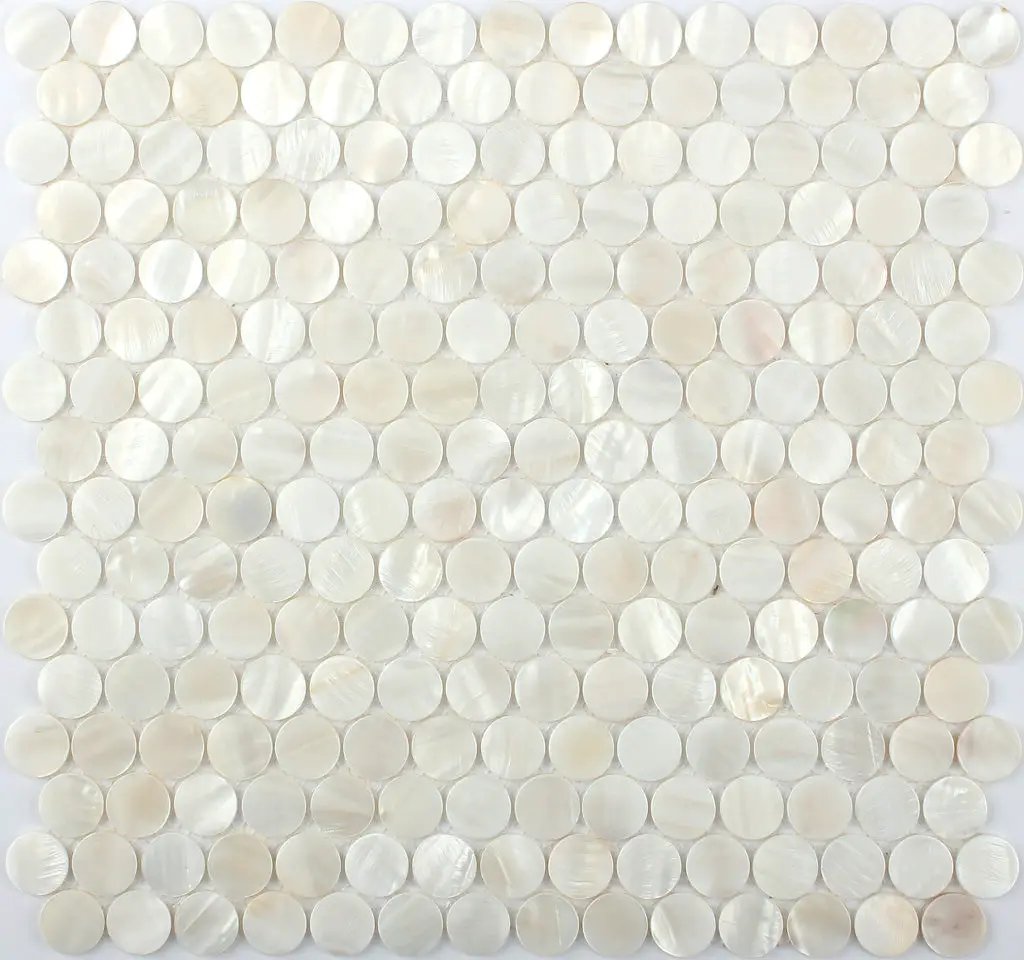 Shell White 12x12 Polished Penny Round Shell Mother of Pearl Mosaic Tile (20 pack, 18.69 sq ft/case) by Apollo Tile
