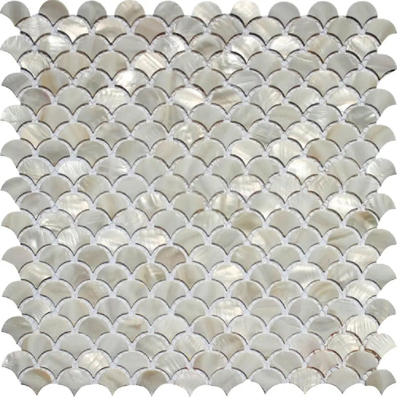 Chiffon White 12x12 Polished Arabesque Shell Mother of Pearl Mosaic Tile (20 pack, 19.34 sq ft/case) by Apollo Tile
