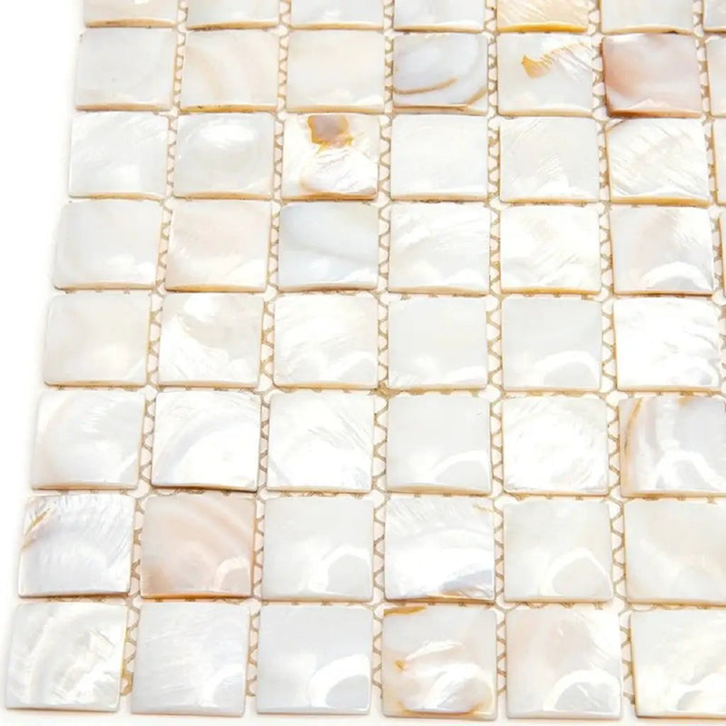 Shell White 12x12 Polished Square Shell Mother of Pearl Mosaic Tile (20 pack, 20 sq ft/case) by Apollo Tile
