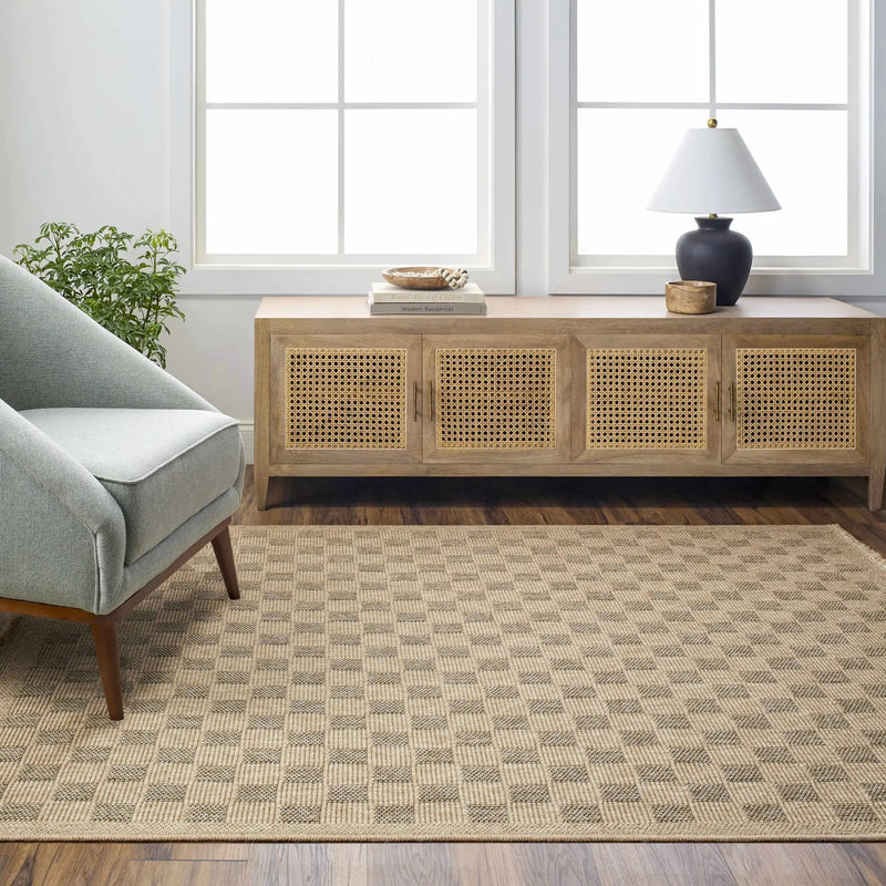 Jurek Beige & Brown Checkered Outdoor Area Rug by Boutique Rugs