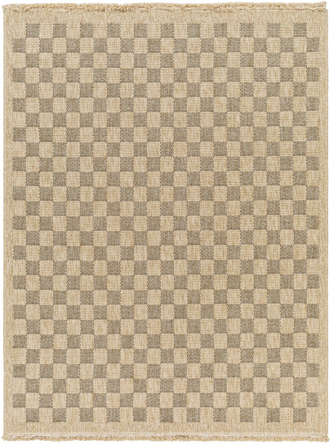 Jurek Beige & Brown Checkered Outdoor Area Rug by Boutique Rugs