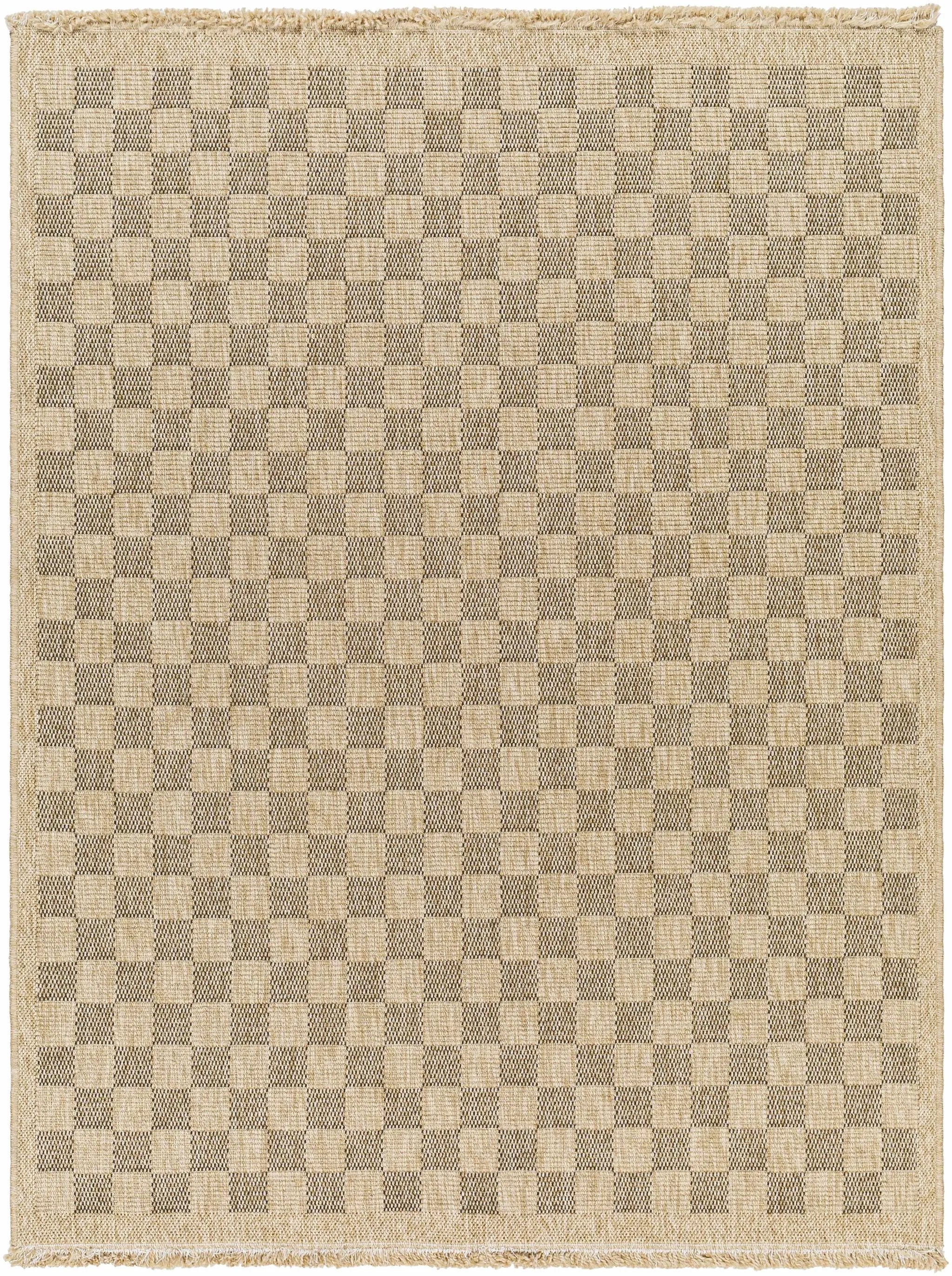 Jurek Beige & Brown Checkered Outdoor Area Rug by Boutique Rugs