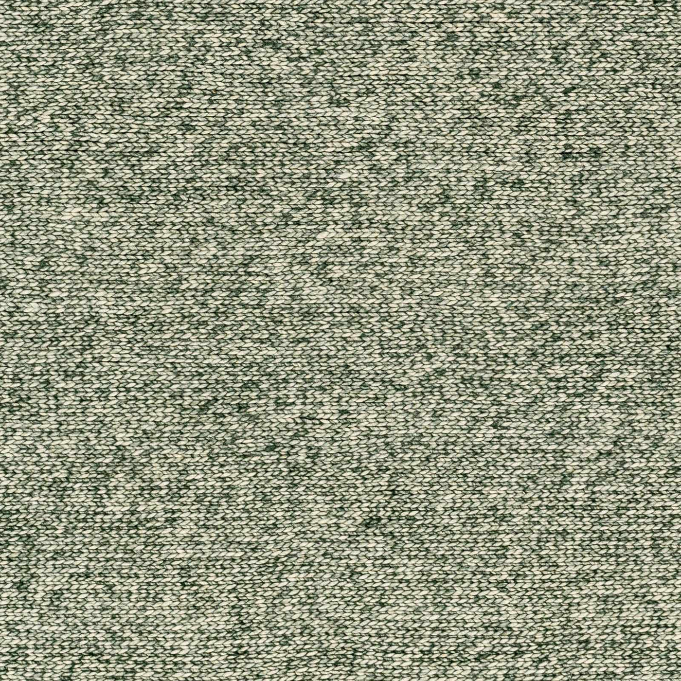 Alyra Green Solid Area Rug by Boutique Rugs