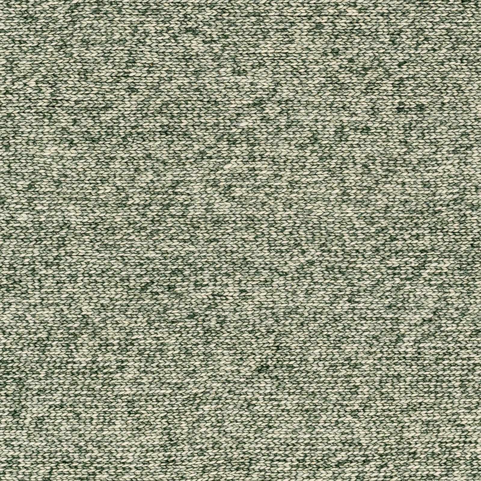 Alyra Green Solid Area Rug by Boutique Rugs