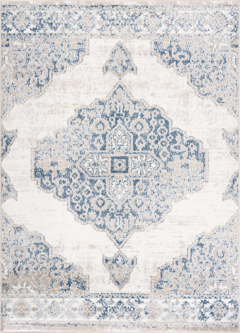Amir Area Rug - Clearance by Boutique Rugs