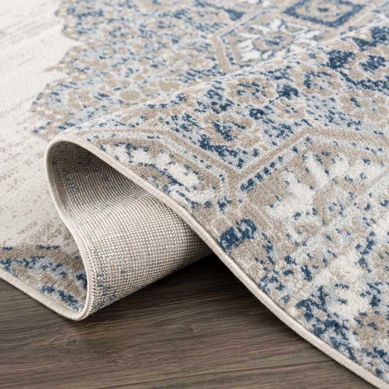 Amir Area Rug - Clearance by Boutique Rugs