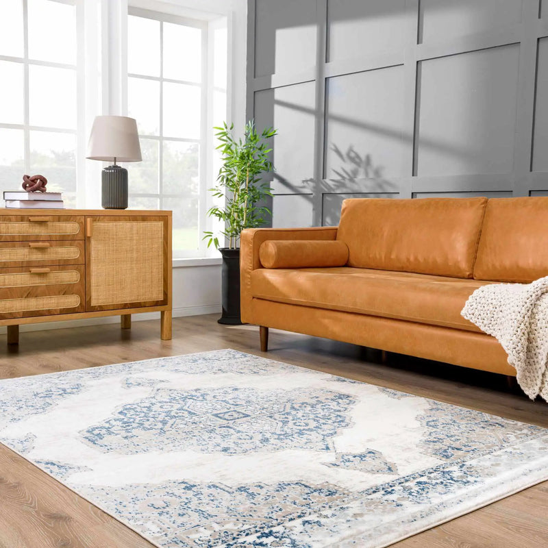 Amir Area Rug - Clearance by Boutique Rugs