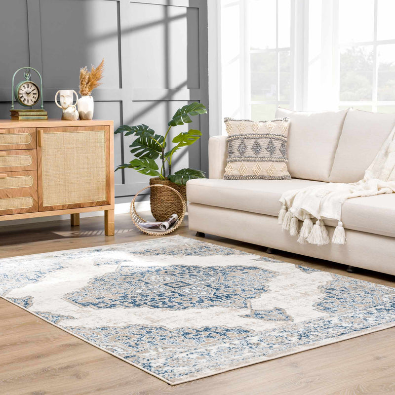 Amir Area Rug - Clearance by Boutique Rugs