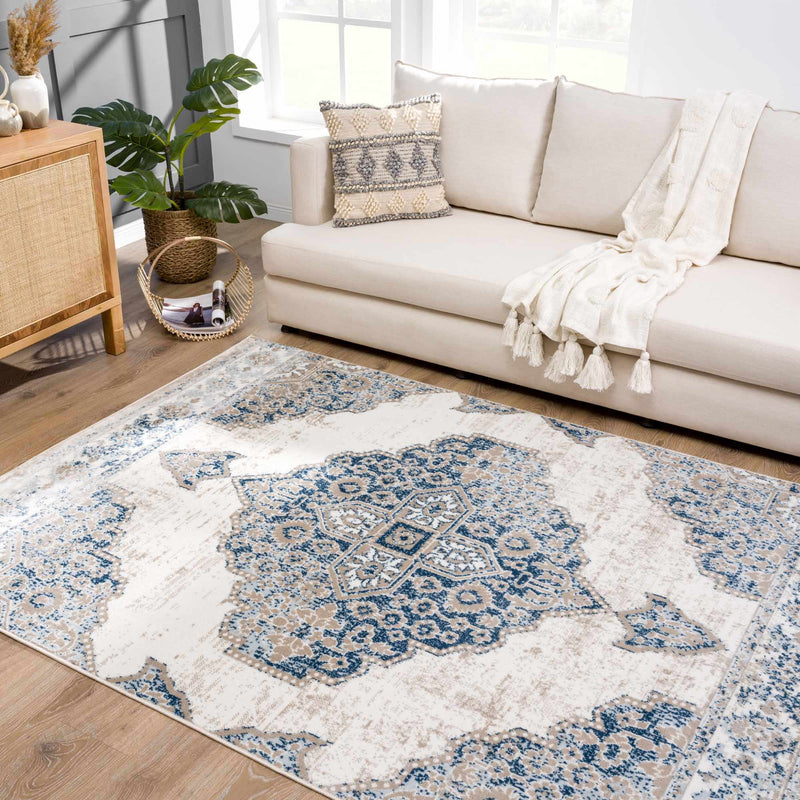 Amir Area Rug - Clearance by Boutique Rugs