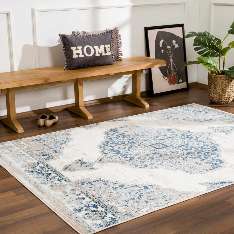 Amir Area Rug - Clearance by Boutique Rugs