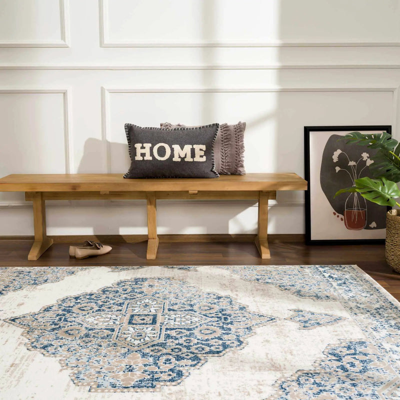 Amir Area Rug - Clearance by Boutique Rugs