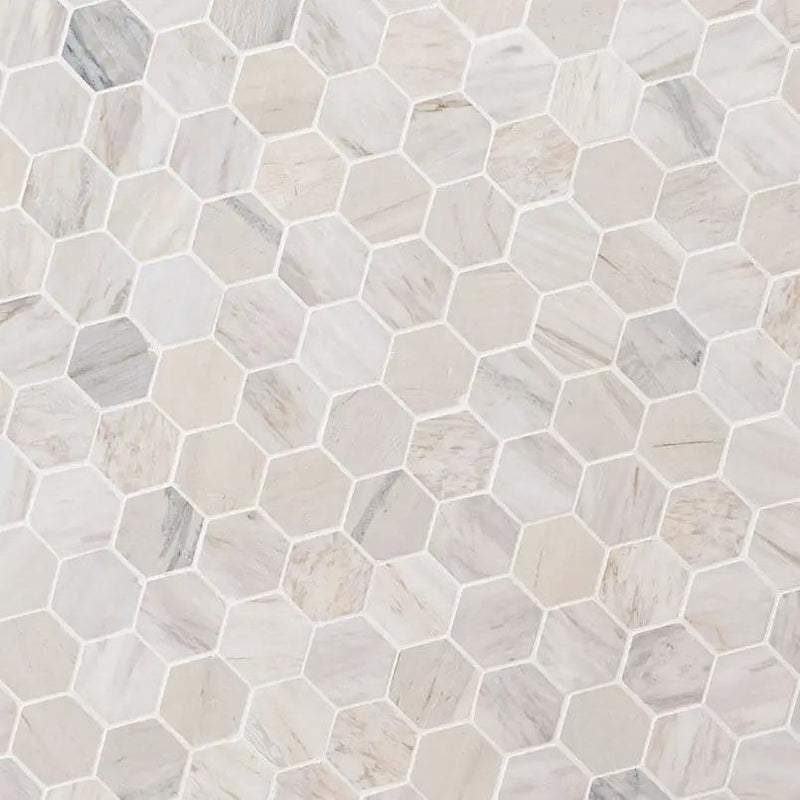 Angora Polished 2" Hexagon Mosaic Tile Marble angled view