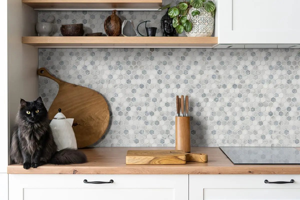 Azula Hexagon Mosaic Tile Polished Marble in a finished room