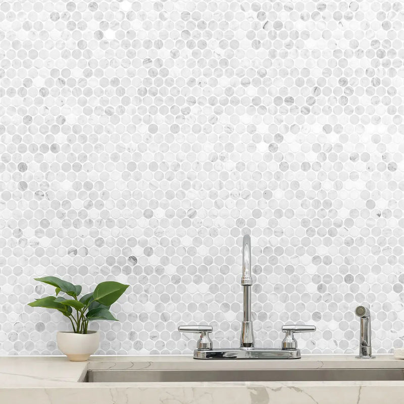 Carrara White Round Pattern Honed Marble Mosaics in a finished room
