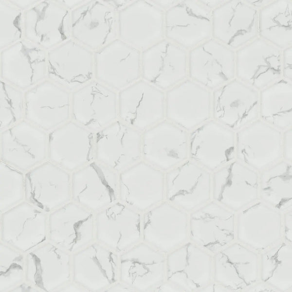 Carrara Matte 2" Hexagon Porcelain Mosaics