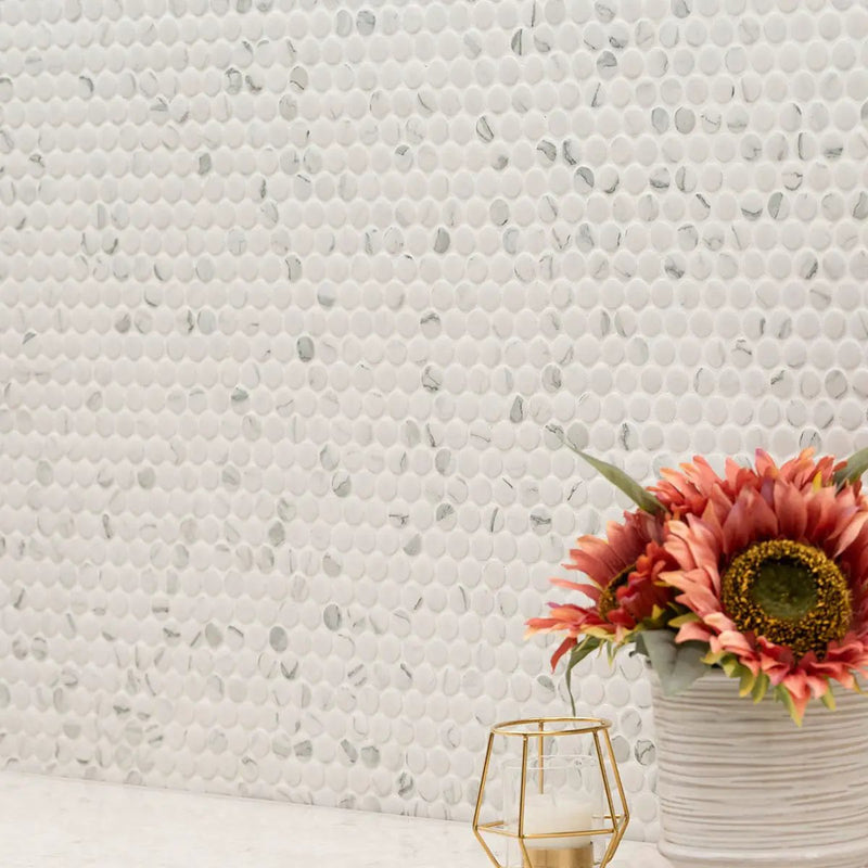 Carrara Matte Penny Round Porcelain Mosaics in a finished room