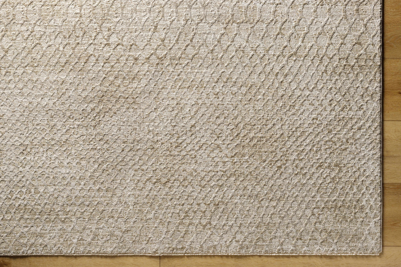 Kaiya Area Rug by Boutique Rugs