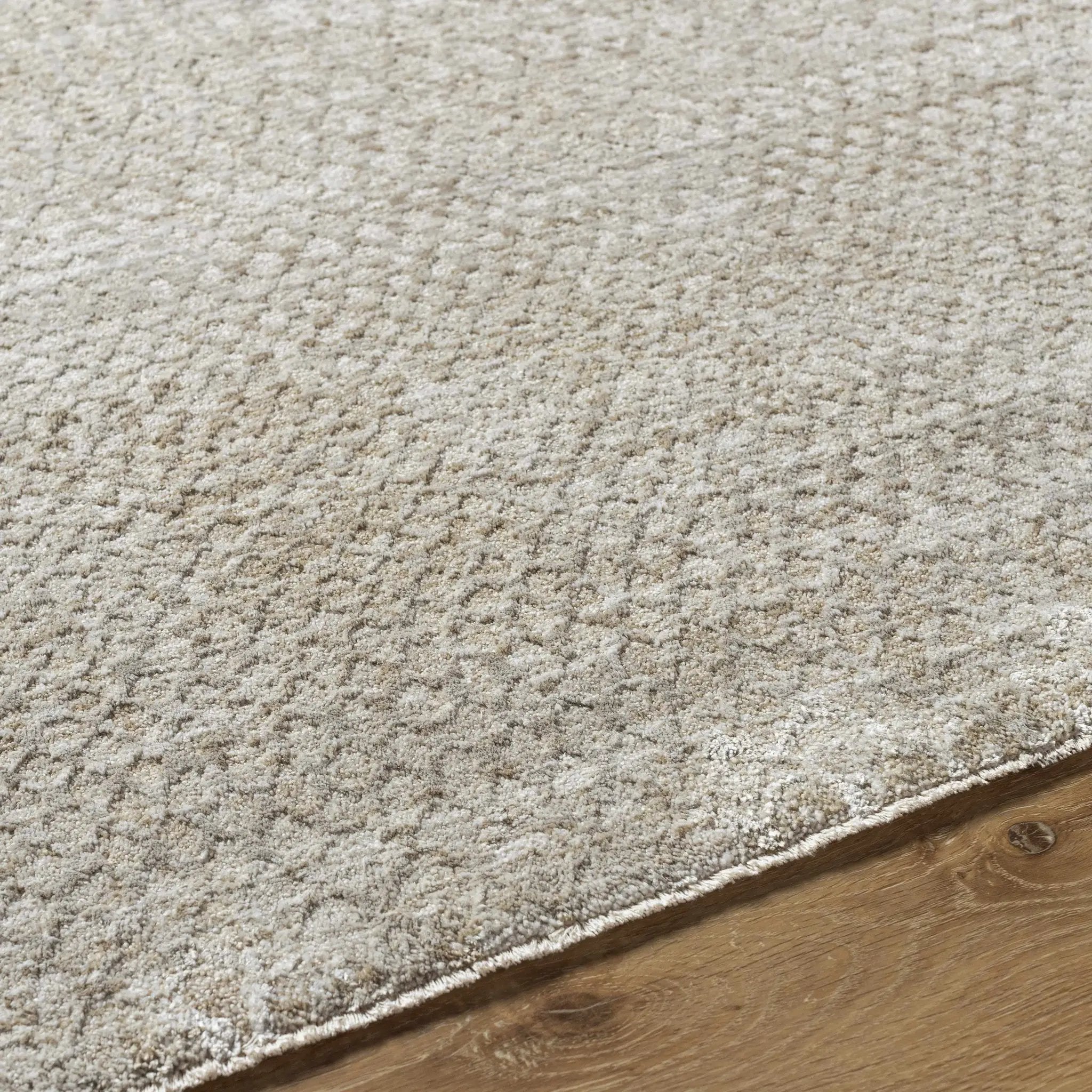 Kaiya Area Rug by Boutique Rugs