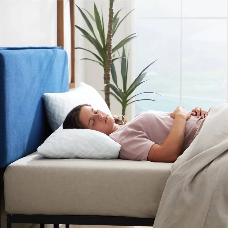 Set of 2 - Shredded Memory Foam Bed Pillows with 2 Pillowcases - Standard size by HomePacific