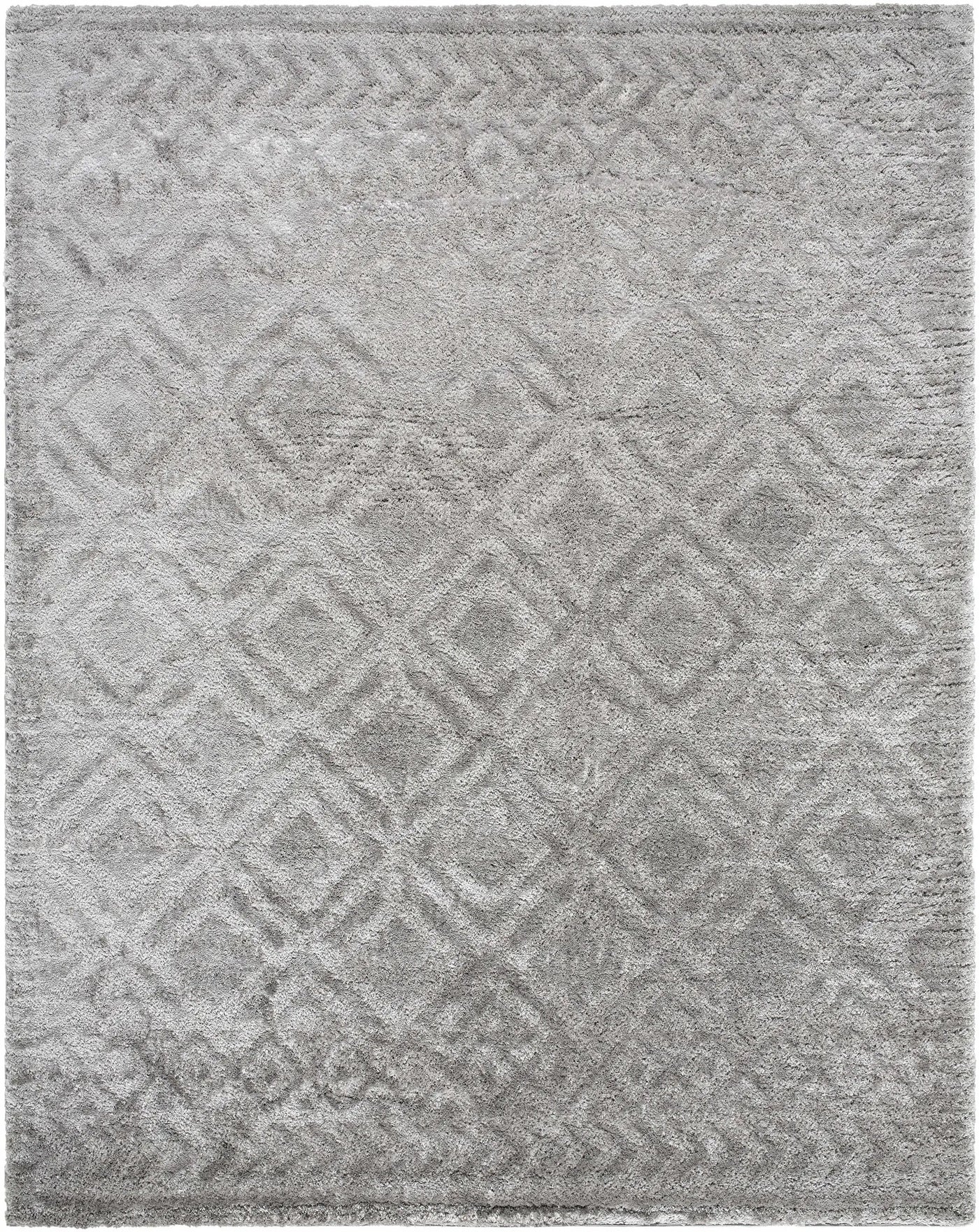 Amnon Area Rug by Boutique Rugs