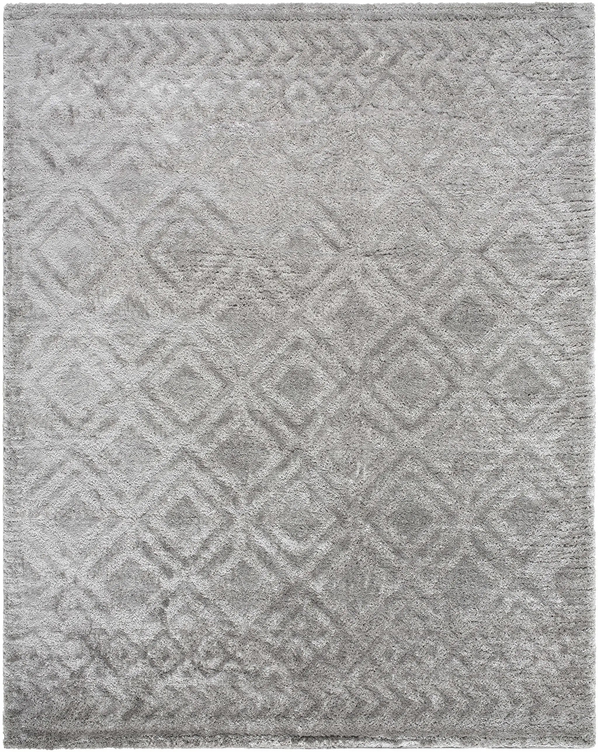 Amnon Area Rug by Boutique Rugs