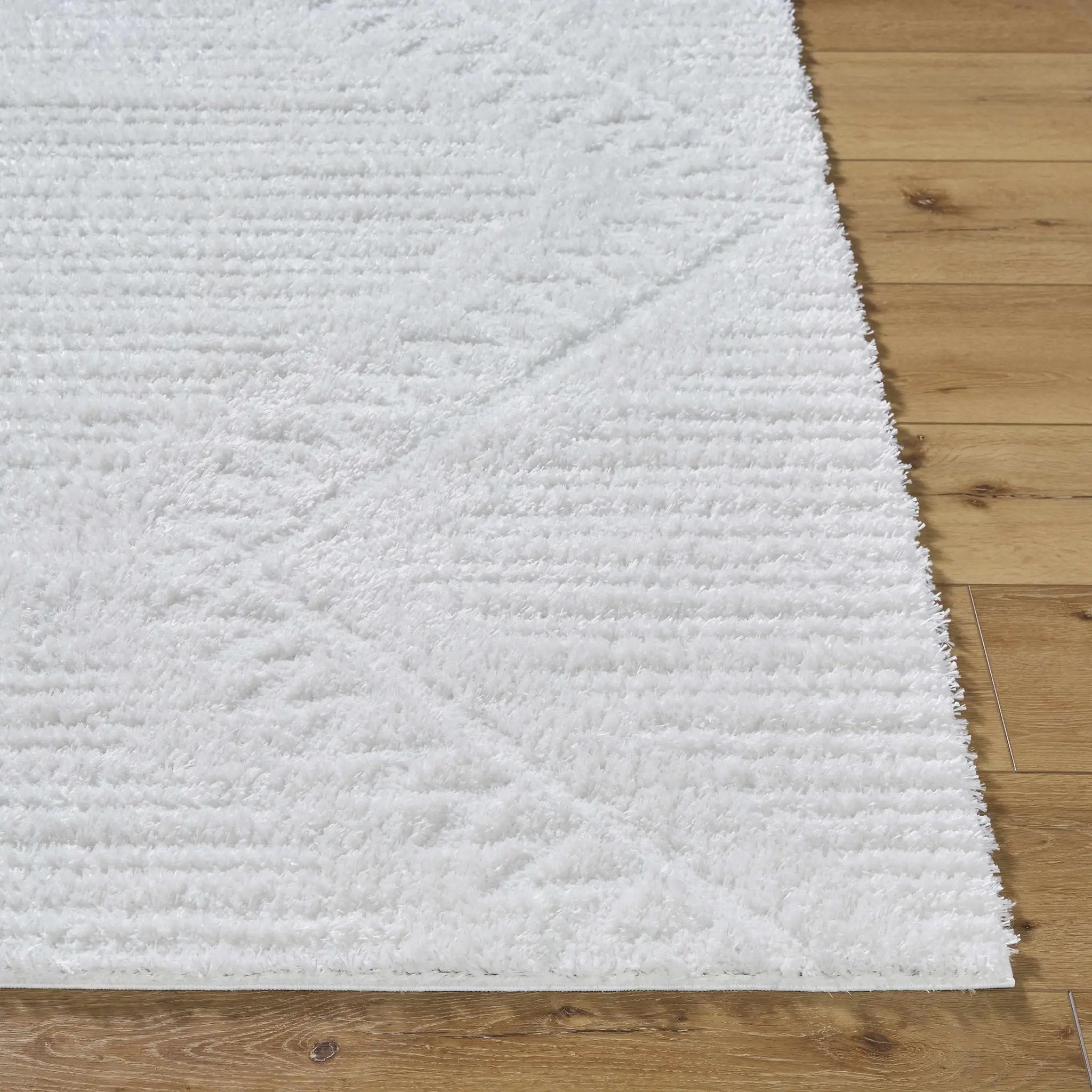 Edsel Off-White Area Rug by Boutique Rugs