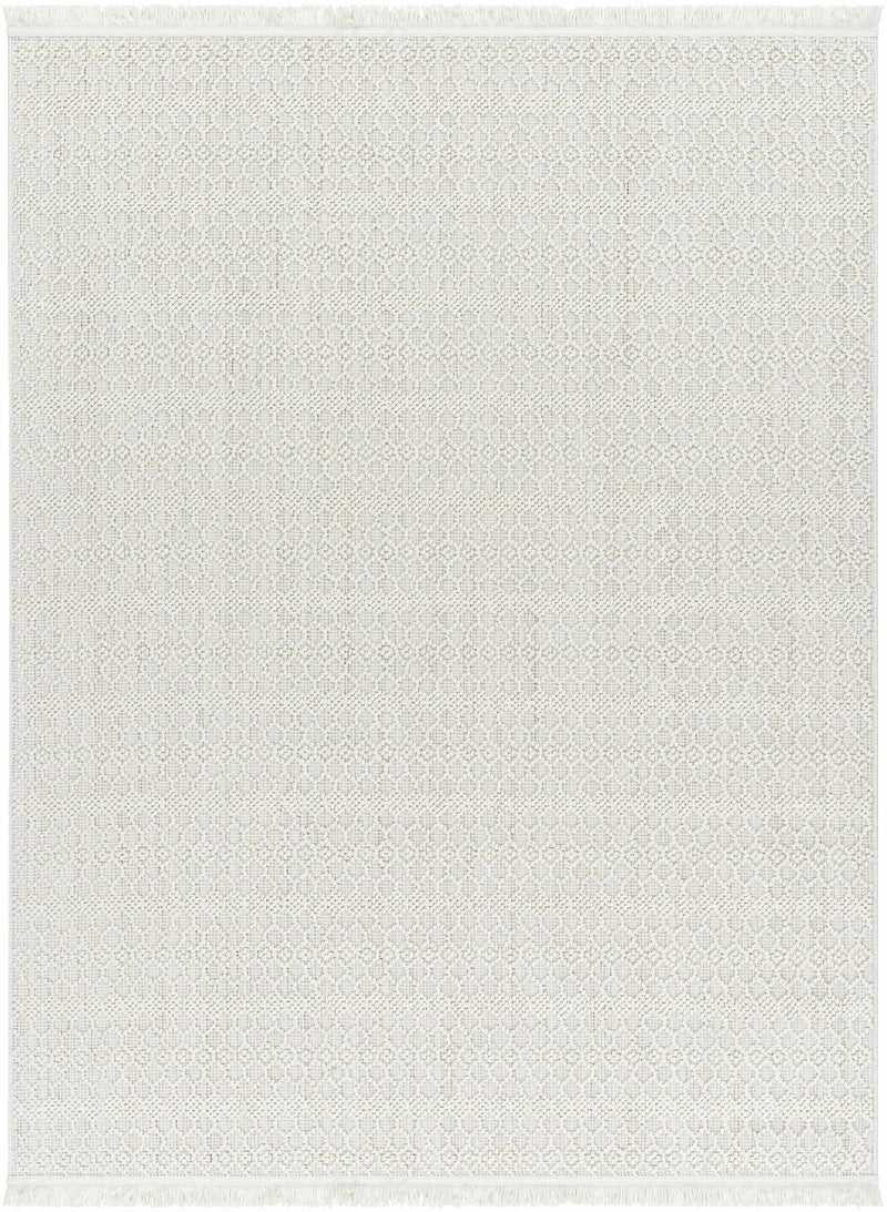 Hamal Area Rug - Clearance by Boutique Rugs