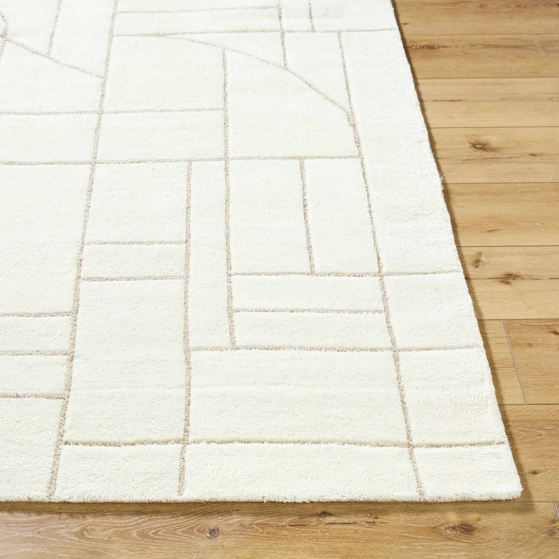 Fusao Beige Area Rug by Boutique Rugs