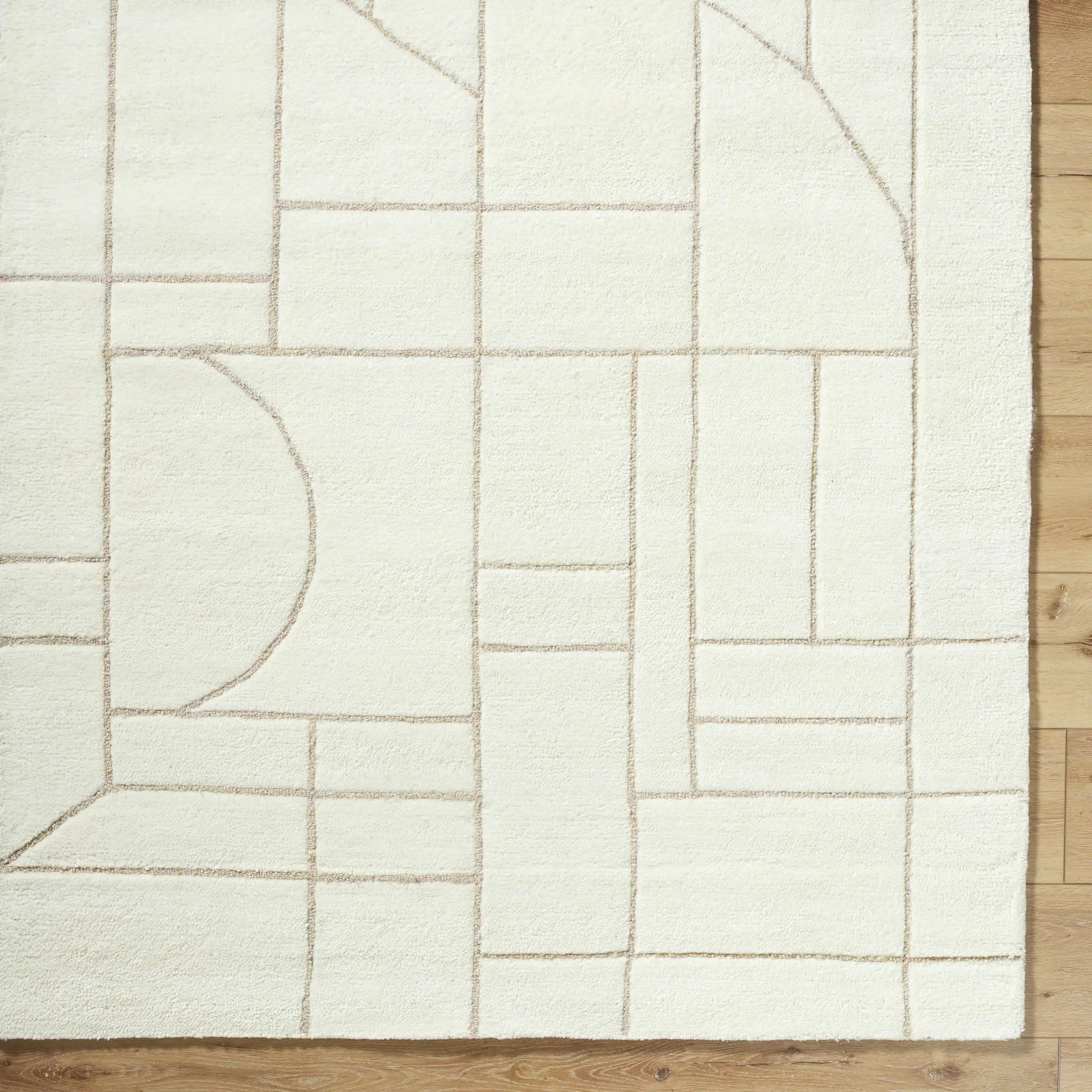 Fusao Beige Area Rug by Boutique Rugs