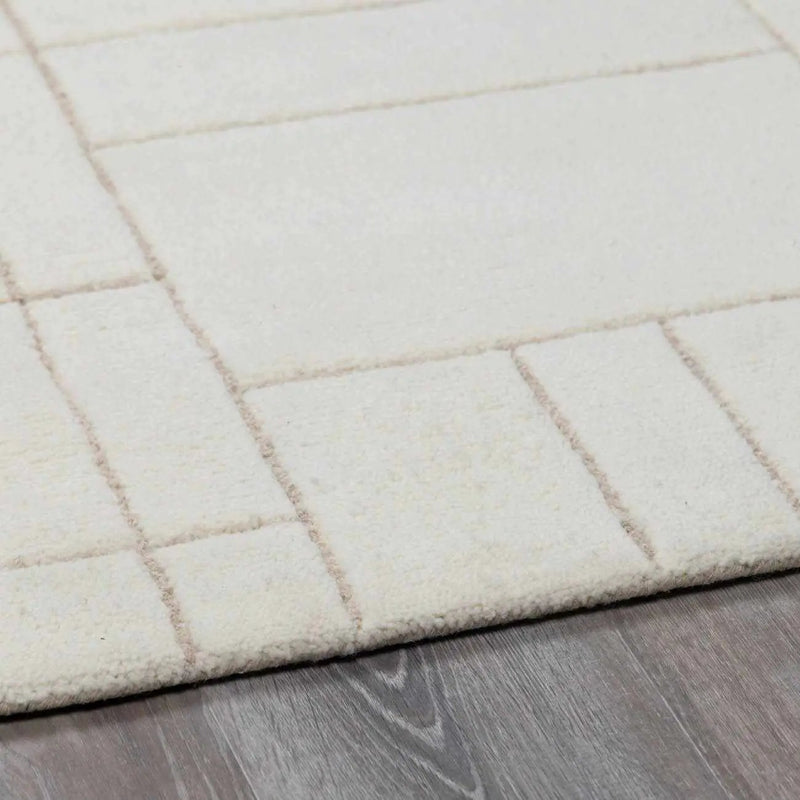 Fusao Beige Area Rug by Boutique Rugs