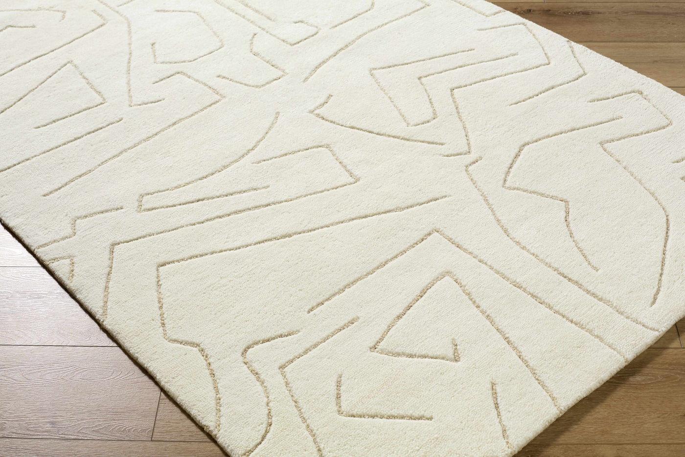 Mony Beige Area Rug by Boutique Rugs