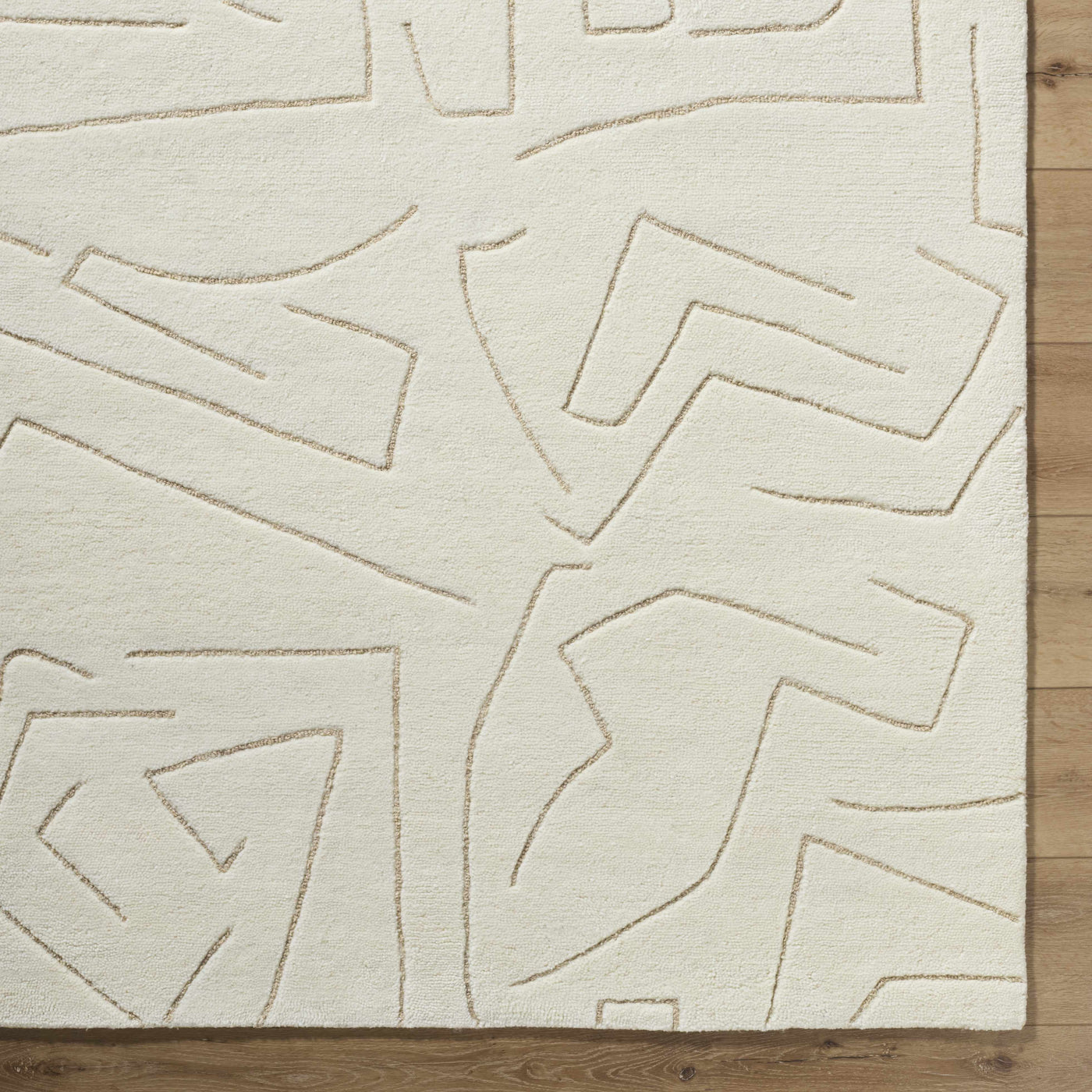 Mony Beige Area Rug by Boutique Rugs