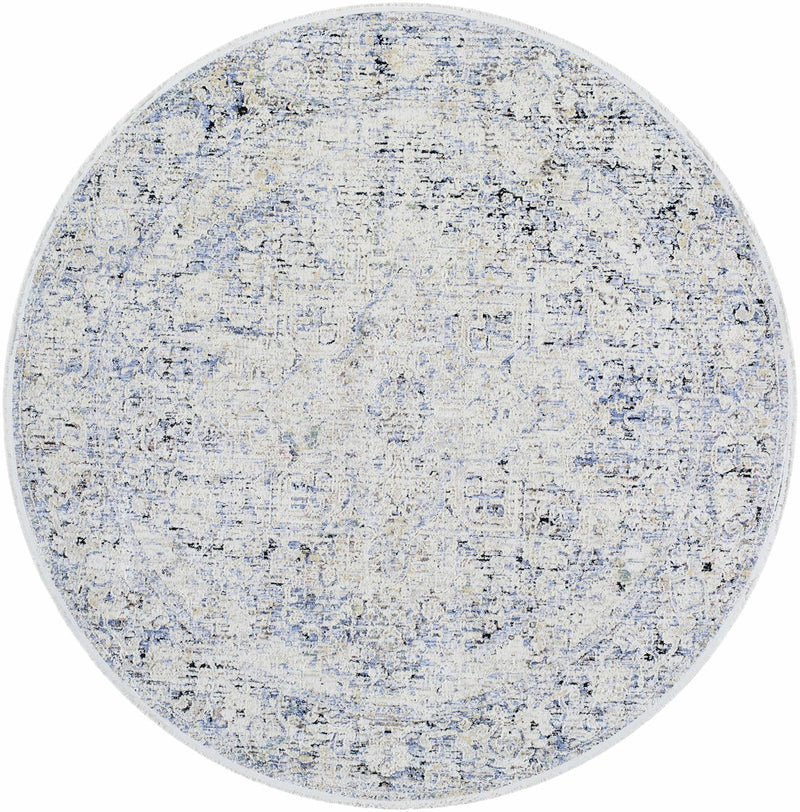 Charo Light Gray Area Rug by Boutique Rugs