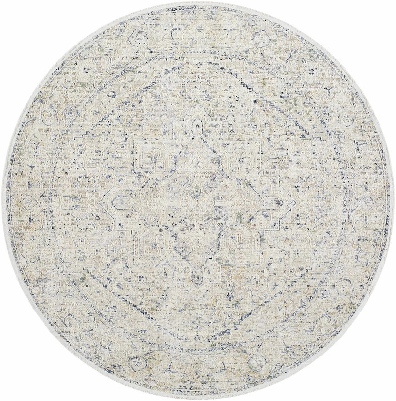 Charo Dusty Sage Area Rug by Boutique Rugs