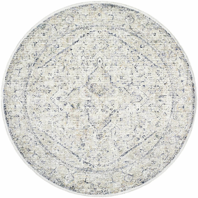 Charo Dusty Sage Area Rug by Boutique Rugs