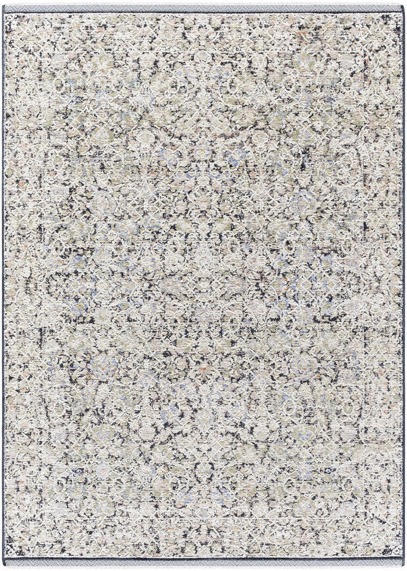 Haran Cloud Gray Area Rug by Boutique Rugs