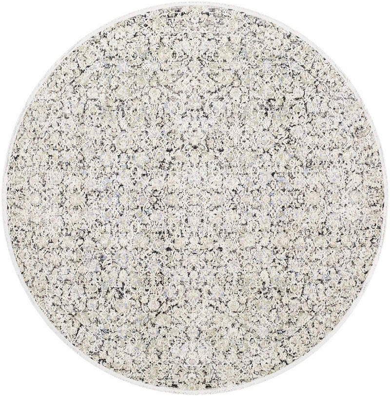 Haran Cloud Gray Area Rug by Boutique Rugs