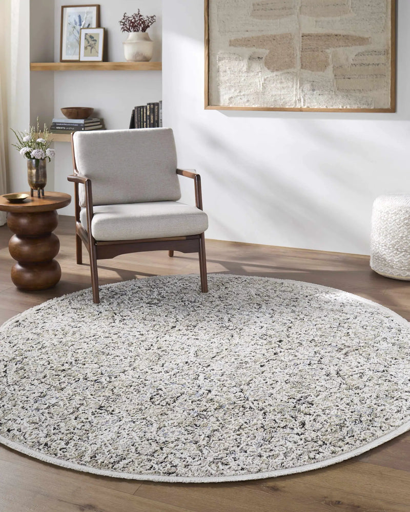 Haran Cloud Gray Area Rug by Boutique Rugs