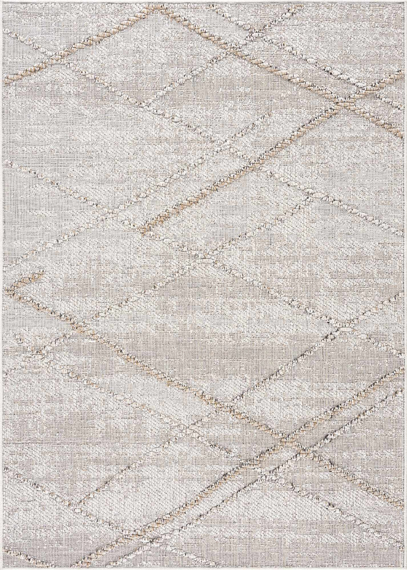 Baqer Bone & Tan Area Rug by Hauteloom