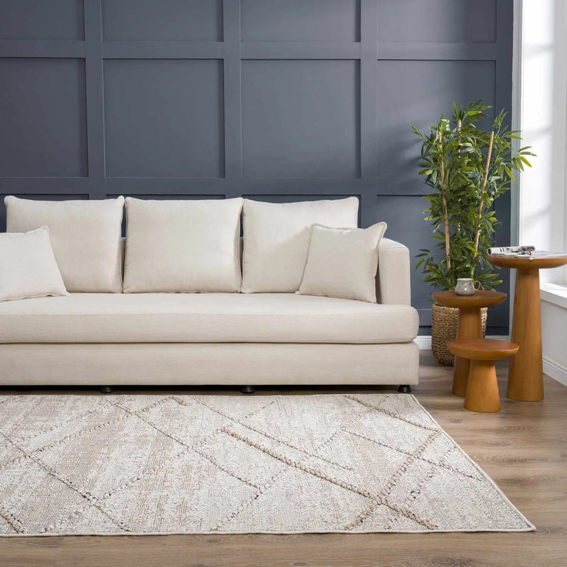 Baqer Bone & Tan Textured Performance Outdoor Rug - Clearance by Boutique Rugs