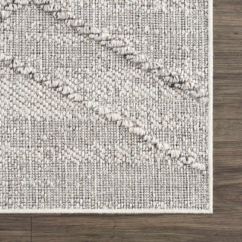 Baqer Bone & Taupe Textured Performance Outdoor Rug - Clearance by Boutique Rugs