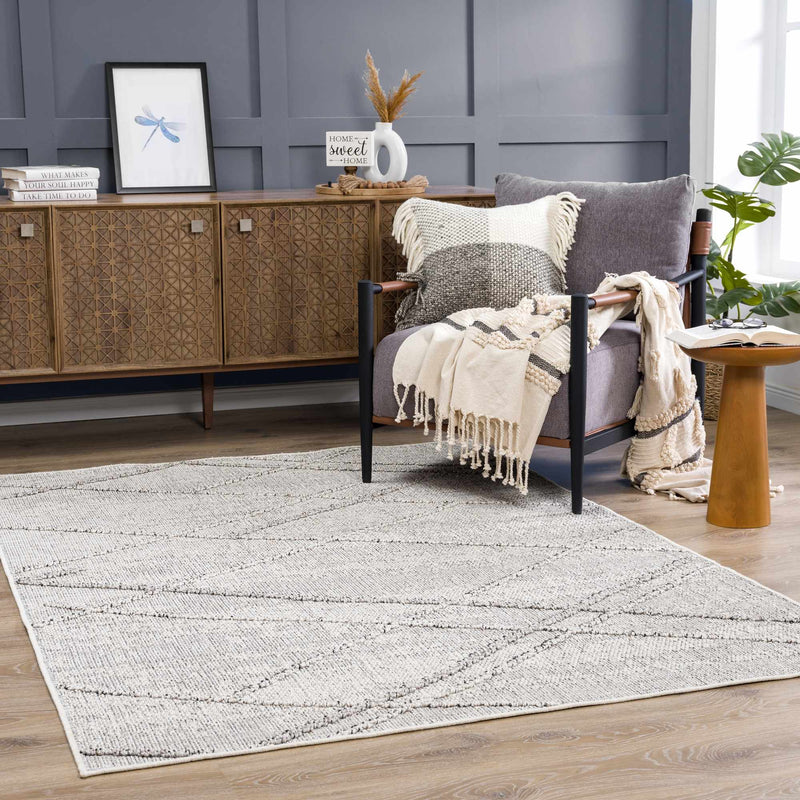 Baqer Bone & Taupe Textured Performance Outdoor Rug - Clearance by Boutique Rugs