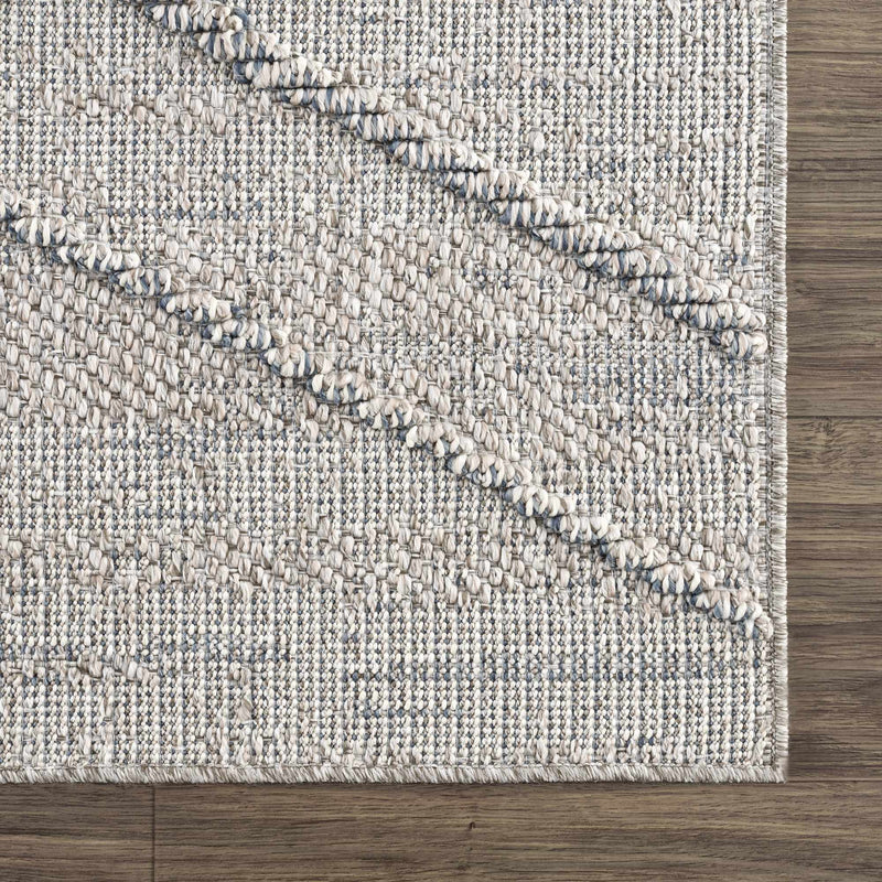 Baqer Taupe & Gray Textured Performance Outdoor Rug - Clearance by Boutique Rugs