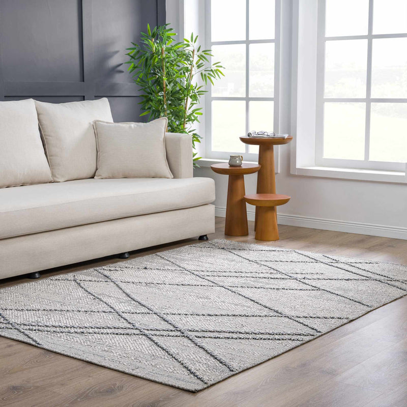 Baqer Taupe & Gray Textured Performance Outdoor Rug - Clearance by Boutique Rugs