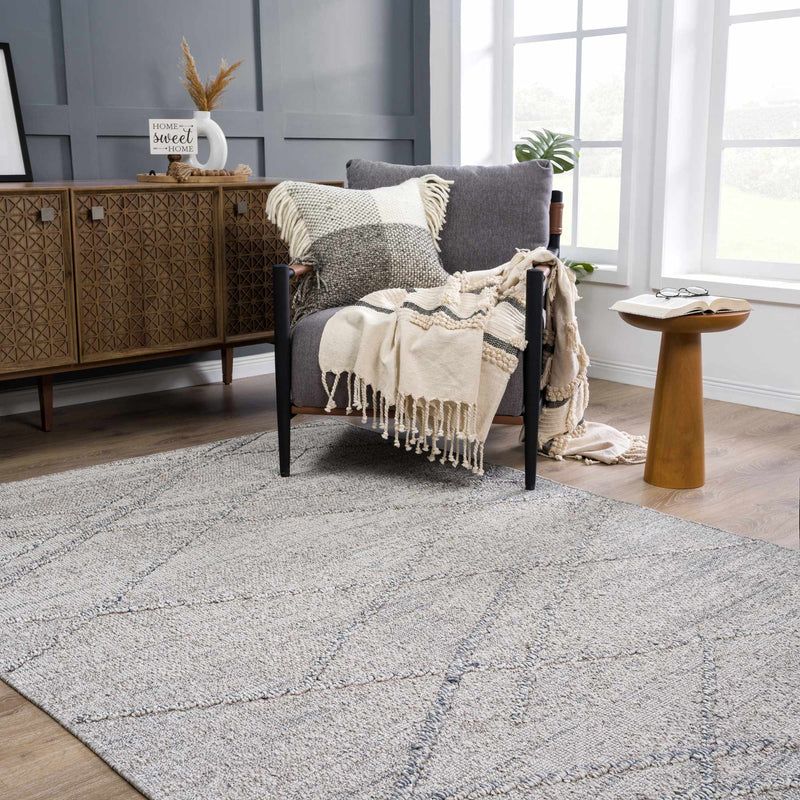 Baqer Taupe & Gray Area Rug by Hauteloom