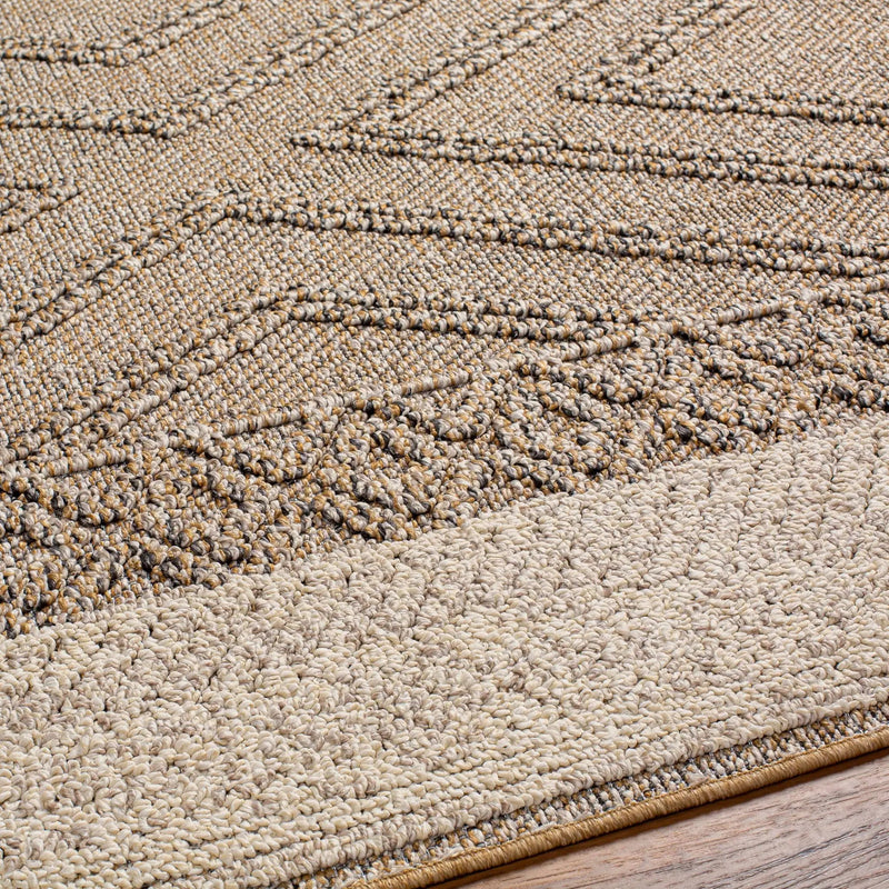 Beige Areli Outdoor Area Rug by Boutique Rugs