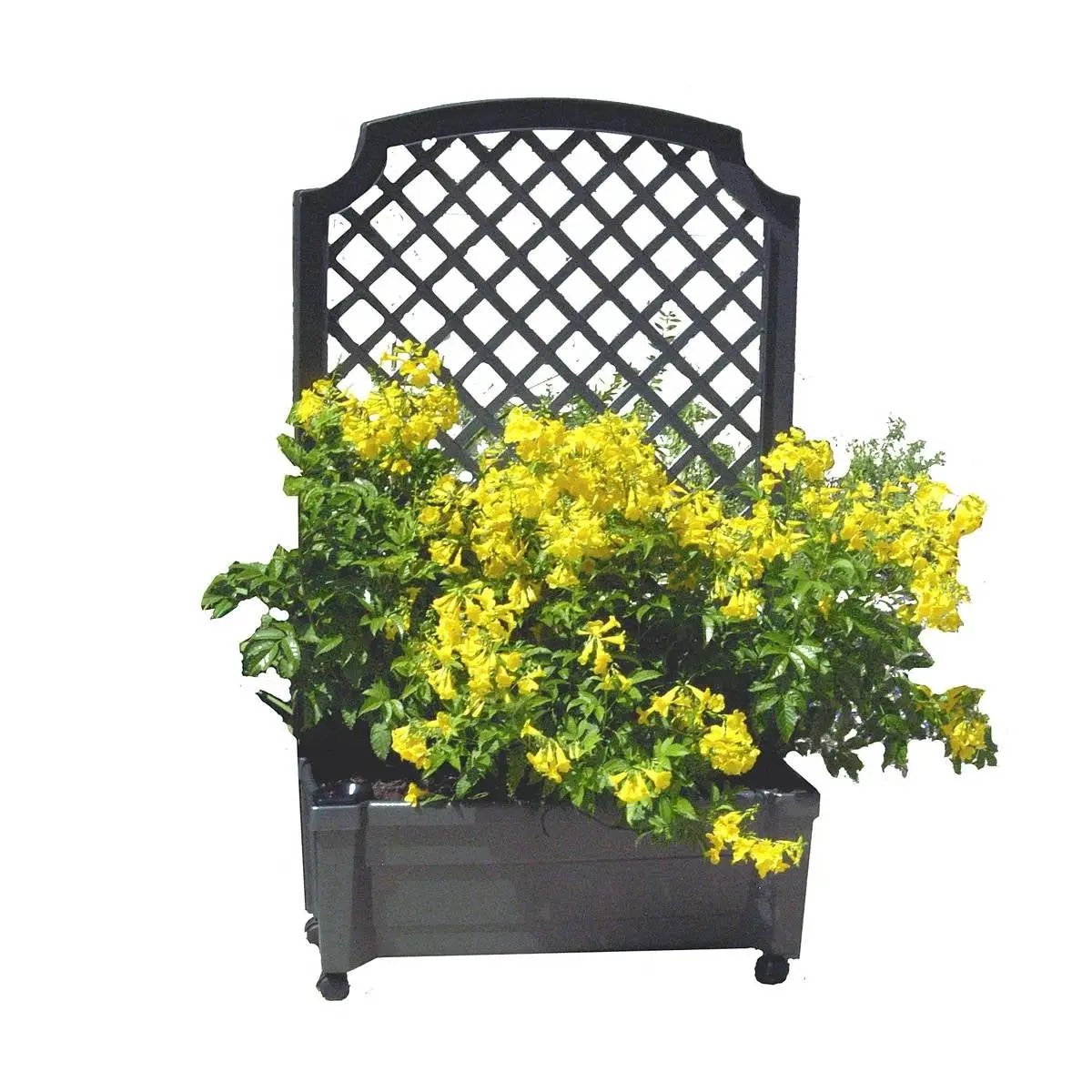 Outdoor Self-Watering Garden Planter with Trellis and Wheels in Grey Plastic by HomePacific